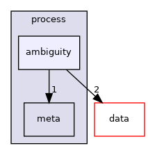 src/process/ambiguity